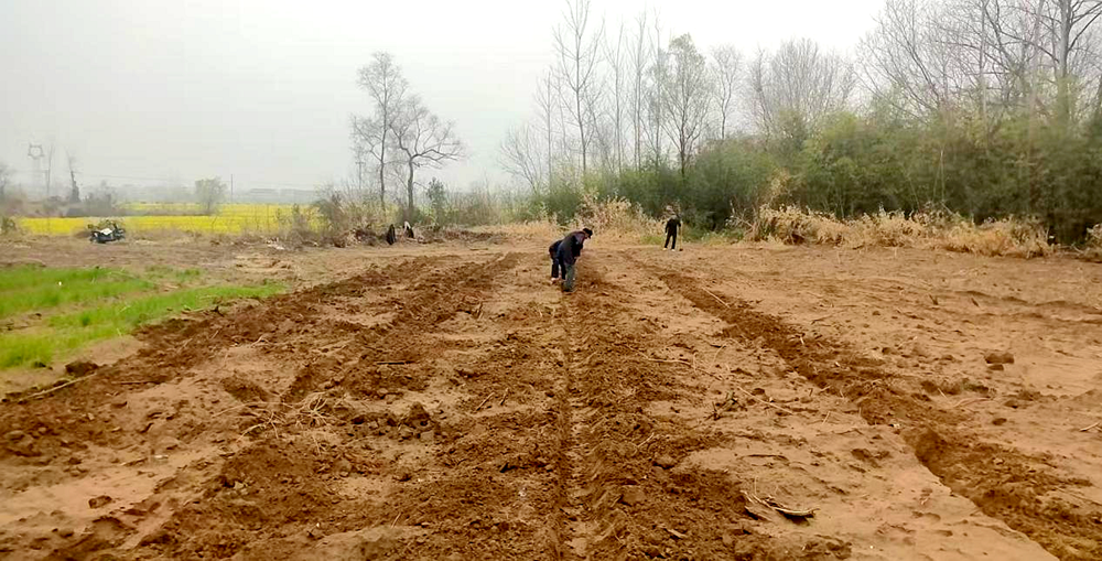 /uploads/image/2025/03/25/40bce43c92d20a1b428cf0b45d4308e7.png 图片2_副本.png