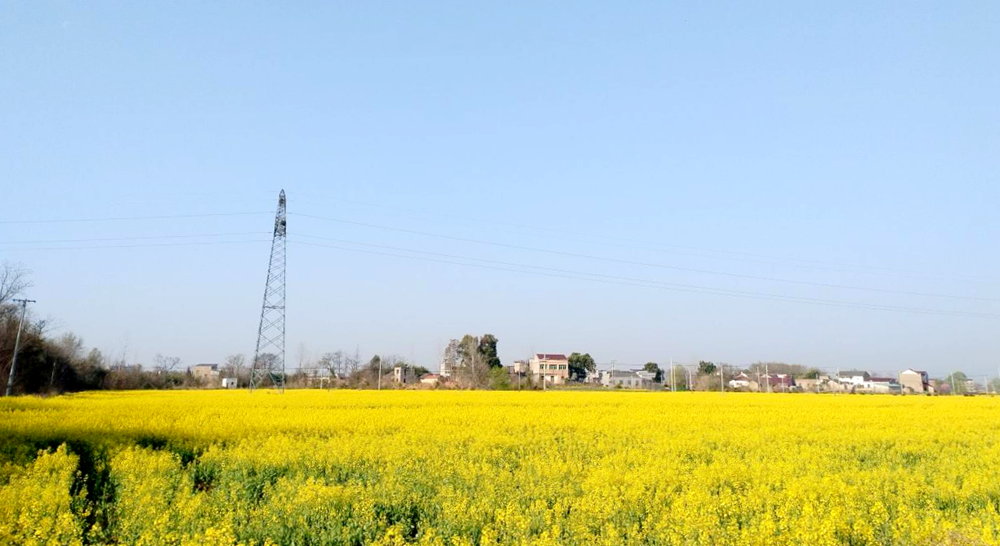 /uploads/image/2025/03/25/7867b418bc5a348871c17240edbdbc93.png 图片1.1_副本.png