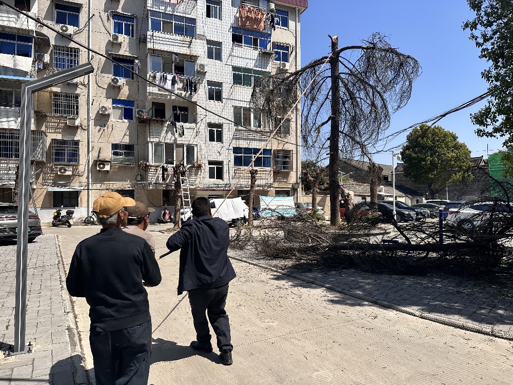 /uploads/image/2025/03/26/0a28f46a1474a020873288c6d455e1ab.jpg 微信图片_20250326152451.jpg