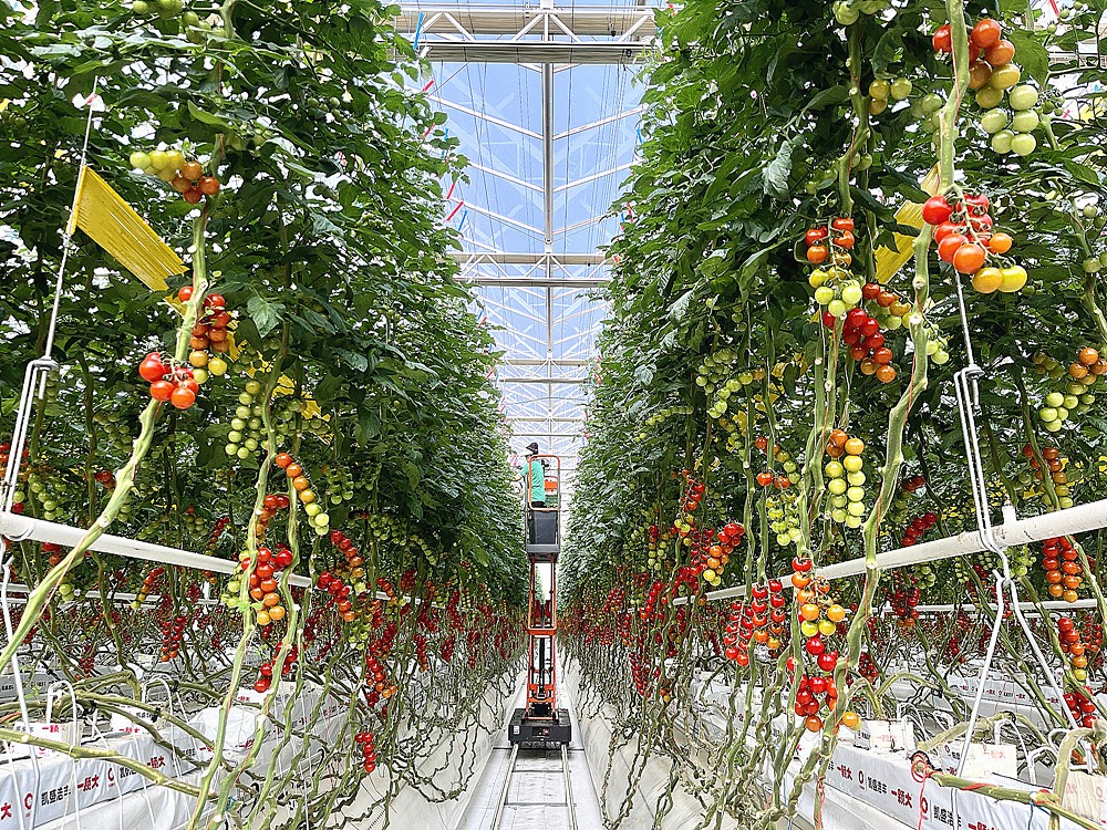 /uploads/image/2025/03/26/6d1d7d8710509ea5af13d9867f30def7.jpg a75651199d02e37bcdb23111ee4367d_副本.jpg