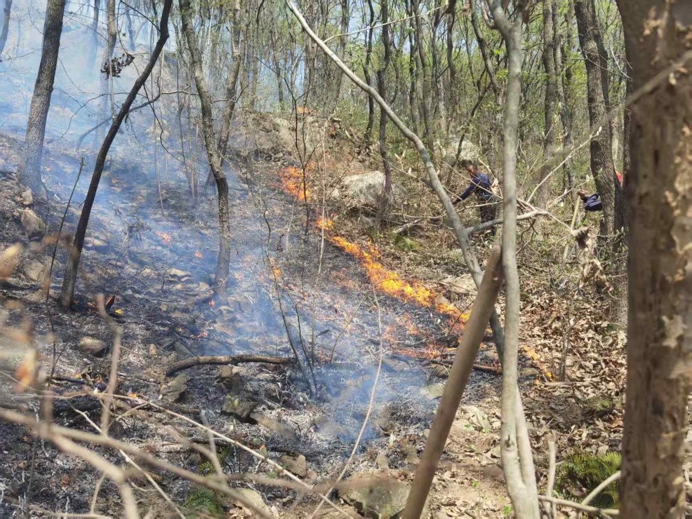 /uploads/image/2025/03/27/3ee947cb103950bd6f01beb654d0c27a.jpg 微信图片_20250327095107.jpg