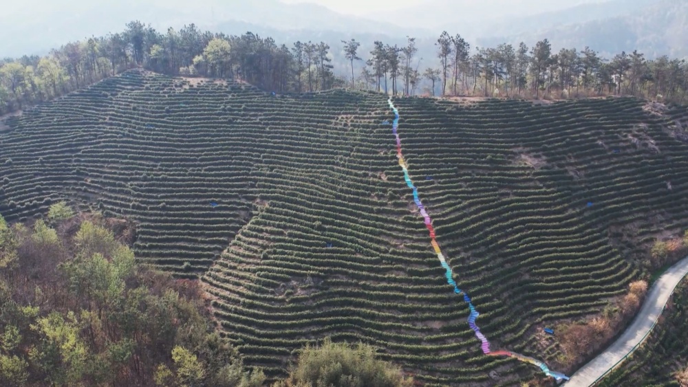 /uploads/image/2025/03/27/3030208569c06ec063ef528605947b3c.jpg 步道.jpg