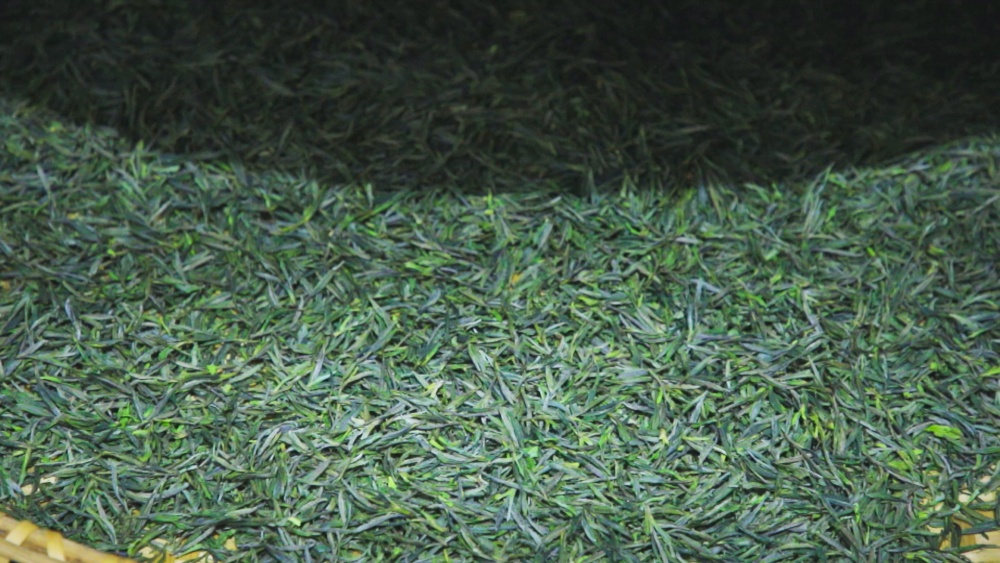 /uploads/image/2025/04/03/11f039222d690cb1d3e90242b923f714.jpg 图为新制出的干茶.jpg