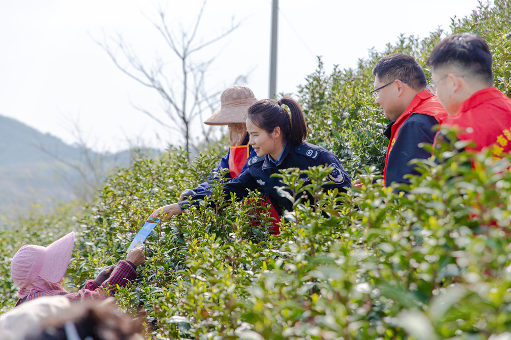 /uploads/image/2025/04/07/a8c18085ee1f5a0191d13cb89fe0132e.jpg 4.jpg