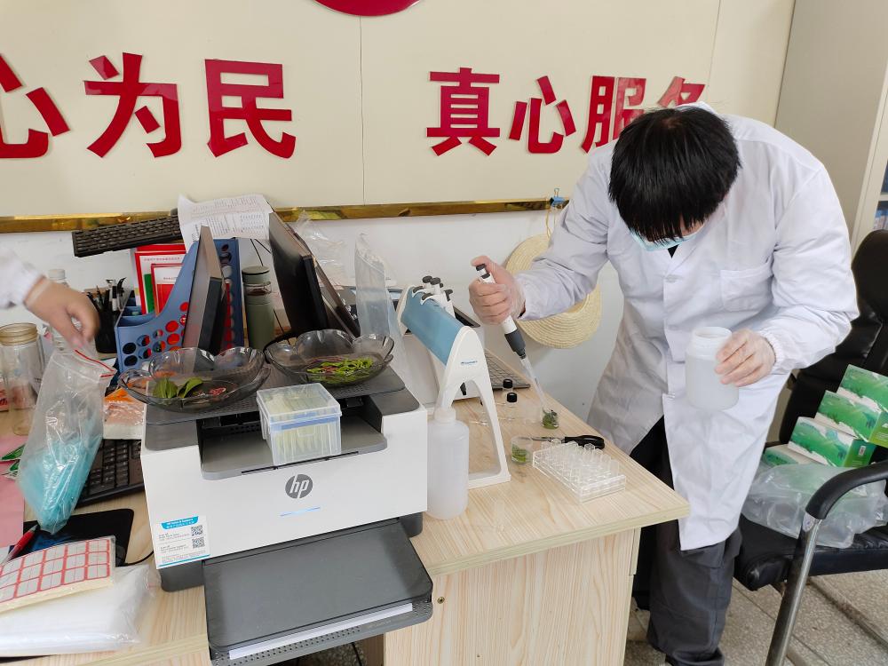 /uploads/image/2025/04/08/09f8a972715f1c9831849da5f8e14dc1.jpg 桐城市市场监管局开展新茶农残快检 守护春茶品质与安全配图2(1).jpg