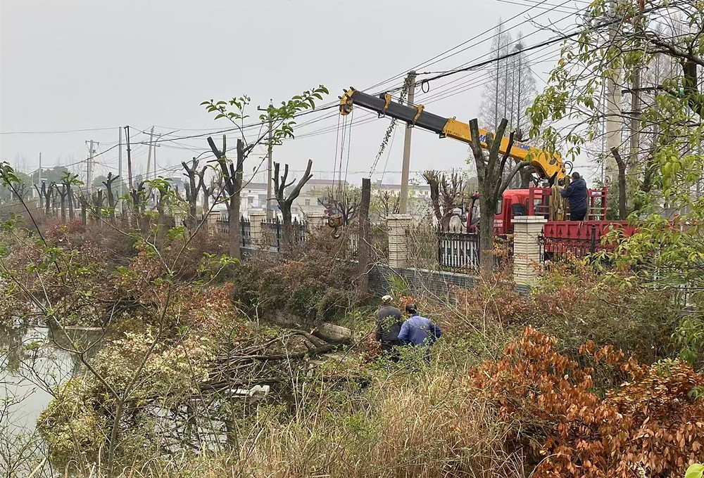 /uploads/image/2025/04/08/0907d27395f4113d1405be2d012d376a.jpg 15.jpg