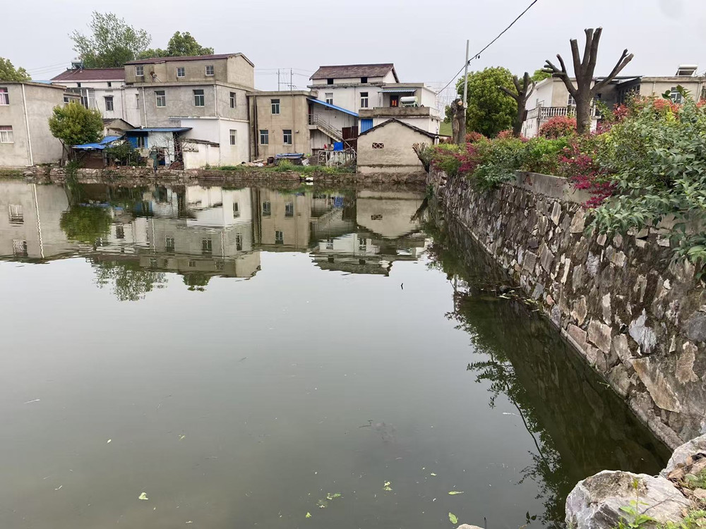 /uploads/image/2025/04/08/82aed3c158b414cb70eb0638dd6cd572.jpg 14.jpg