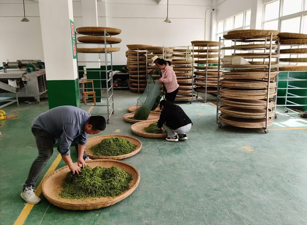 /uploads/image/2025/04/08/d9fb7275e1ec681ba9b22a69358464e1.jpg 2.jpg