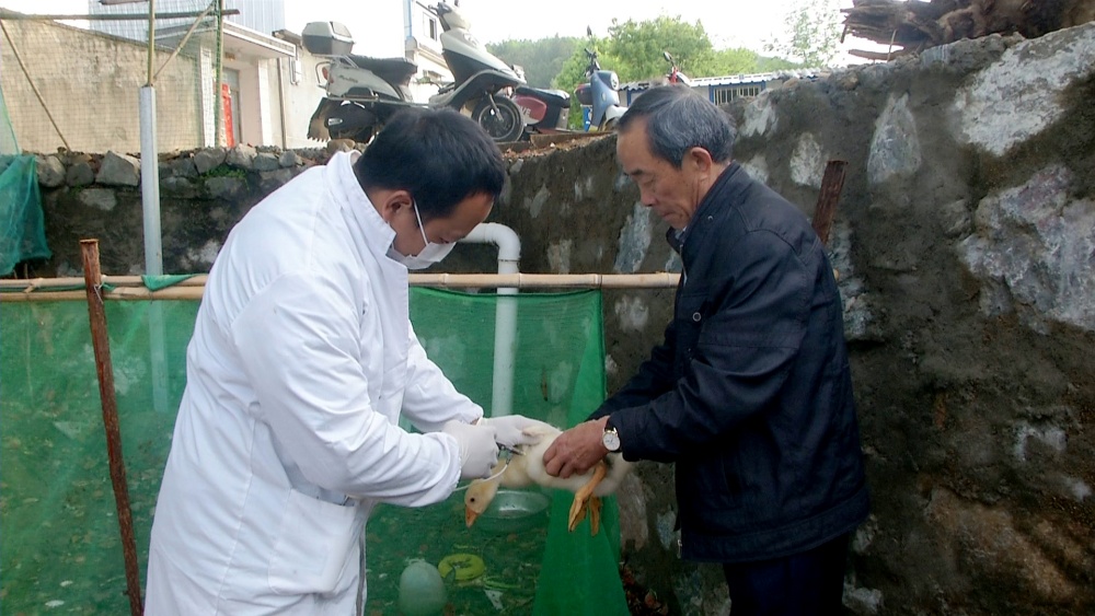 /uploads/image/2025/04/10/6d8cb0804b6282f930e43f54233c90ac.jpg 防疫.jpg