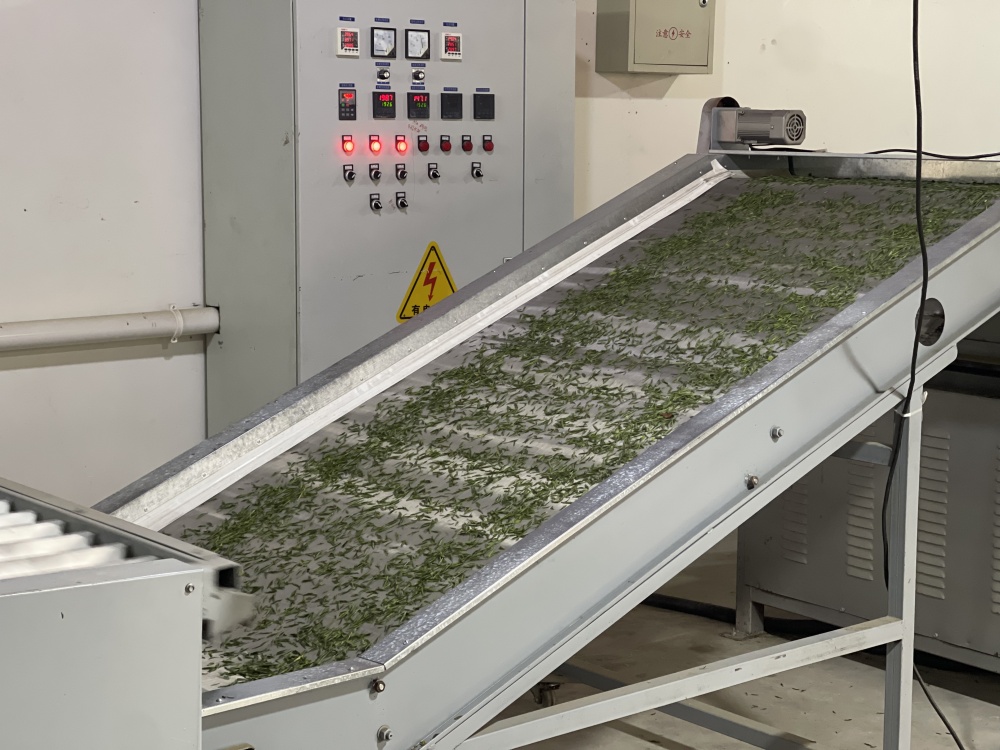 /uploads/image/2025/04/14/4ca8177cc62e139cfe55d6e5556a2db0.jpg 龙眠村 (3).jpg