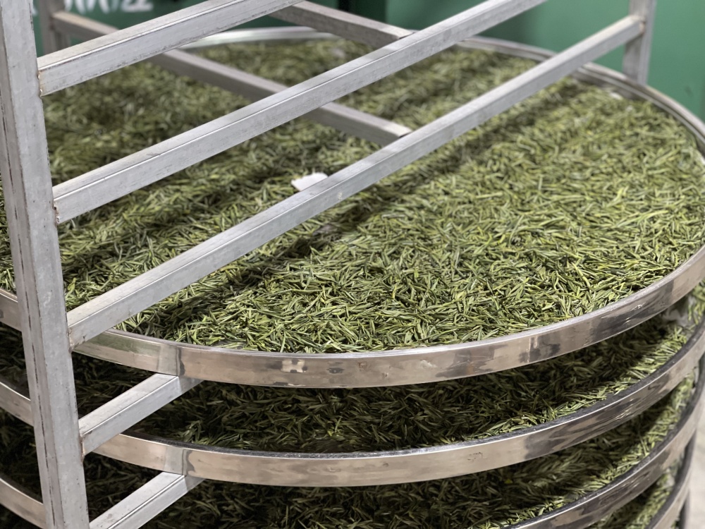 /uploads/image/2025/04/14/a034613ed4198891f66b1cef1cead61d.jpg 龙眠村 (4).jpg