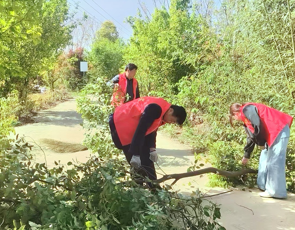 /uploads/image/2025/04/14/a0fbb2533f03bf7a917e1f5c08c77d88.jpg 3.jpg