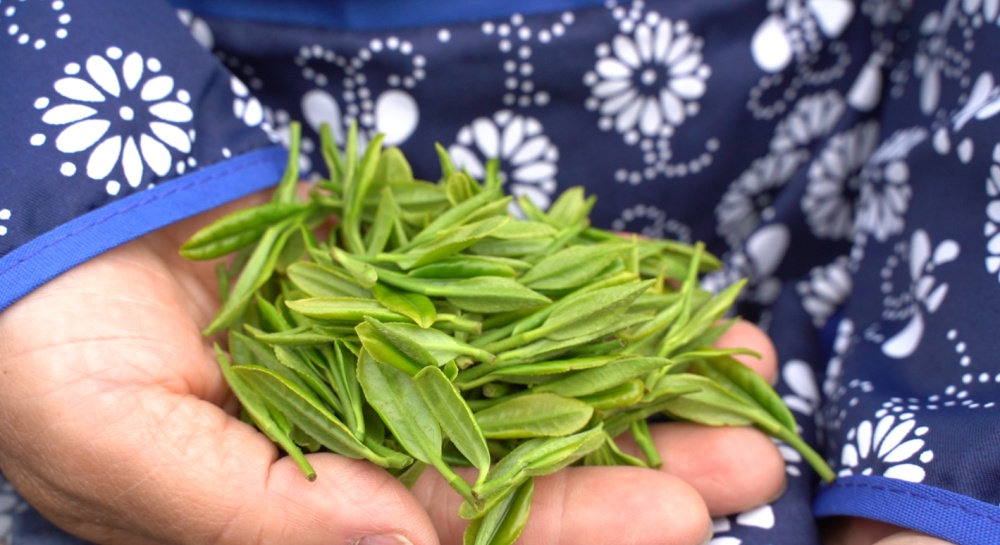 /uploads/image/2025/04/14/e5d73ff11657c9bae5727f538b7eb869.jpg 向阳村 (5).jpg