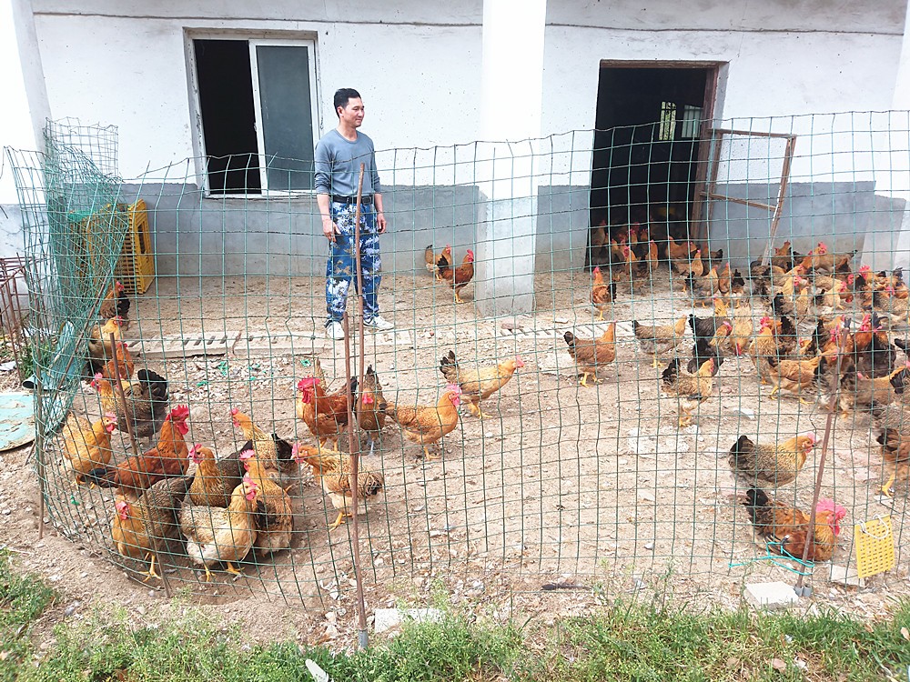 /uploads/image/2025/04/14/91d3f9a873c35de2455c479c5a700666.jpg 5.jpg