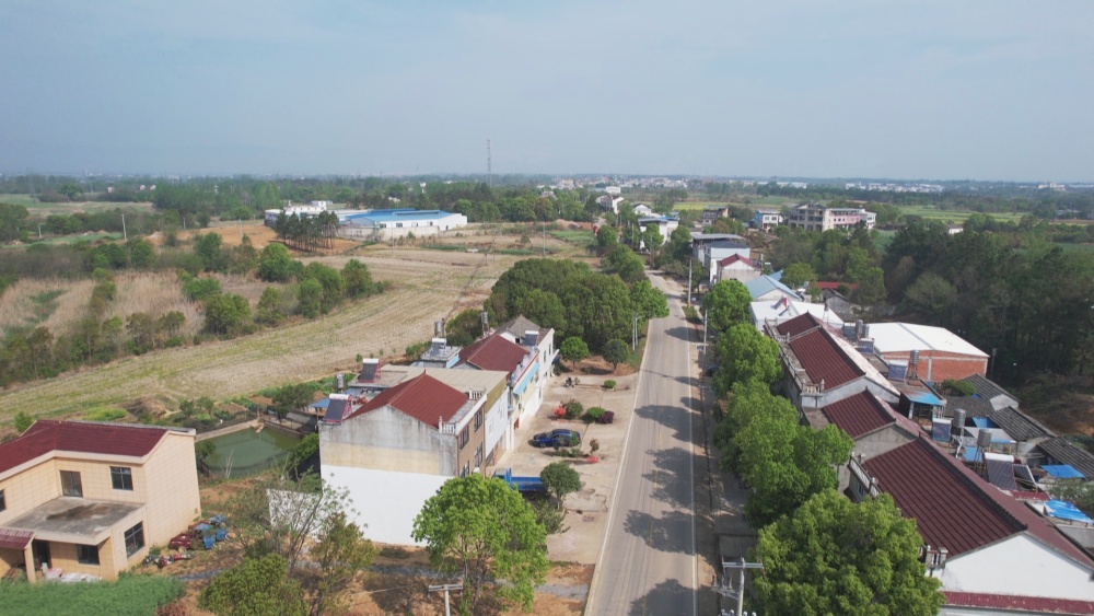 /uploads/image/2025/04/16/8ba4b6fb7b158ef321d196d5be41c122.jpg 图为万新村一角2.jpg