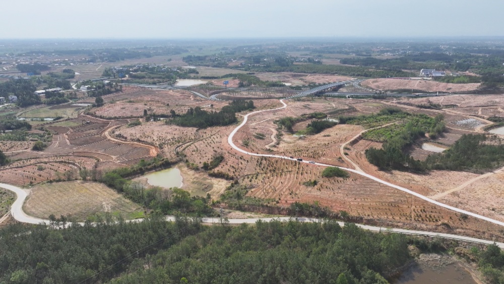 /uploads/image/2025/04/17/31869d846c0c2d507a195f2bb3f9e9f9.jpg 图为青草镇复兴村复新生态林业种植基地.jpg