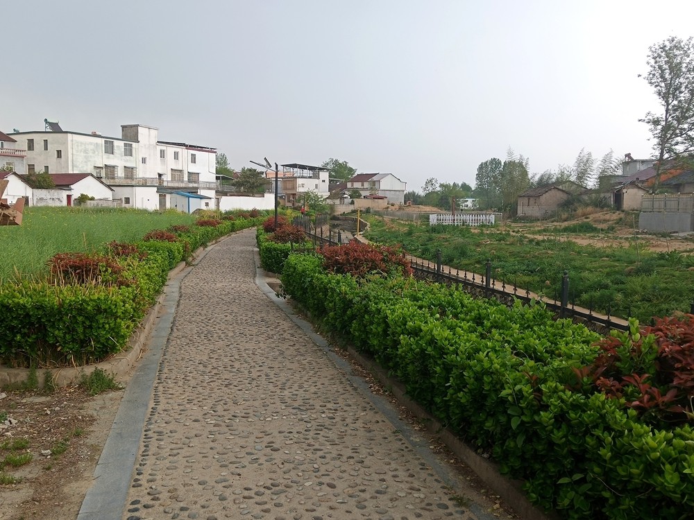 /uploads/image/2025/04/17/557a2496d5b00dedd535da08846bb290.jpg 2_副本.jpg