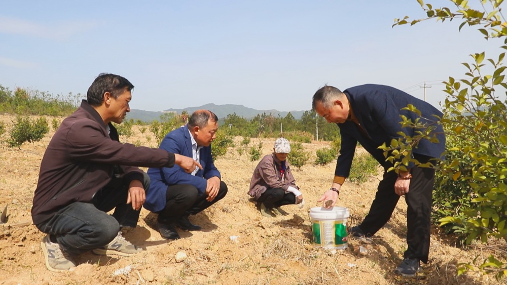 /uploads/image/2025/04/17/8ca7e804ec3e4c7b0a5ccf60d7b26906.jpg 图为当地农业技术人员正在指导村民播种桔梗.jpg