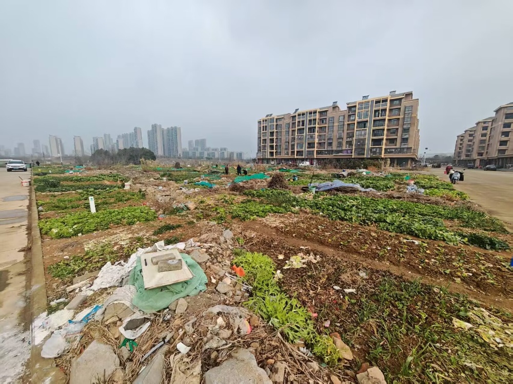 /uploads/image/2025/04/21/6a1b0a036dc4b8d4c1e41e11012e9feb.jpg 微信图片_20250421161232.jpg