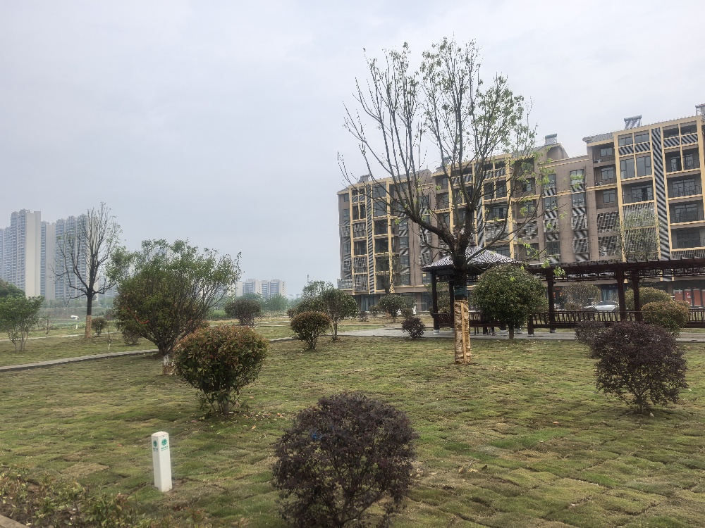 /uploads/image/2025/04/21/c8d319b72bbe5281fe8cda719f655a4f.jpg 微信图片_20250421161242.jpg