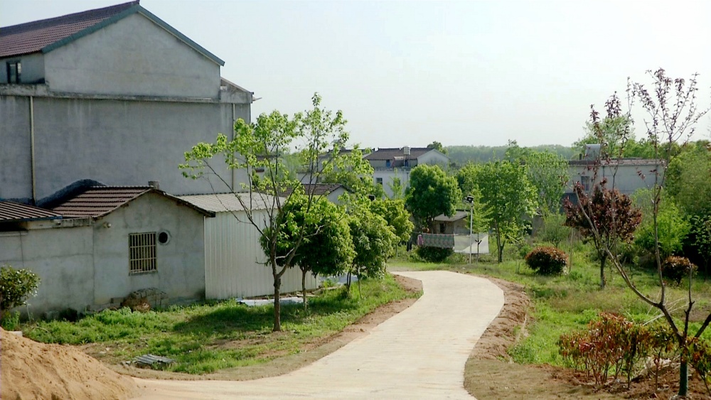 /uploads/image/2025/04/22/0551b05b9fdf7881074b63b88557de6b.jpg 姚坂村一角2.jpg