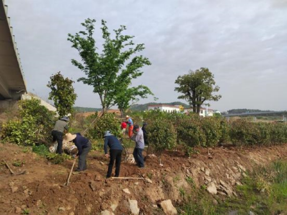 /uploads/image/2025/04/23/f45d974fef1906ffcc7f8ac73fa37c2f.jpg 2.jpg