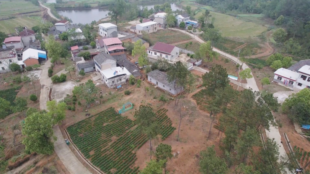 /uploads/image/2025/04/23/51e836ea3e61f912bf2d75965169bc90.jpg 芍药(2).jpg