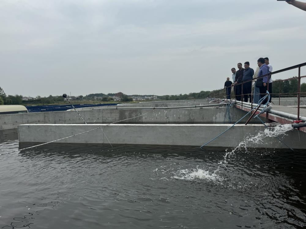 /uploads/image/2025/04/28/3ccbf53e1cc02523f8b3048b07bf53d1.jpg 111(1).jpg