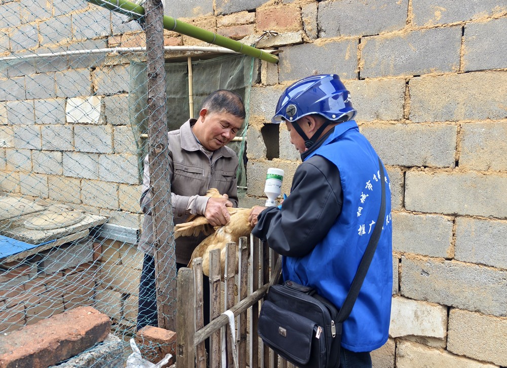 /uploads/image/2025/04/28/944a8a2cb4fb101b8c97a801129dd1ba.jpg 3.jpg