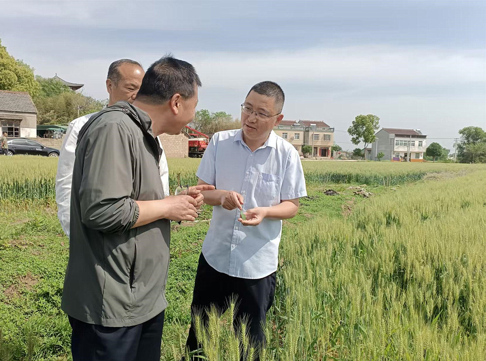 /uploads/image/2025/04/30/445e0e76a4f001b0958546550b683d7b.jpg 7.jpg