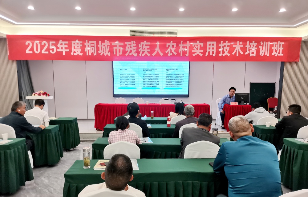 残联培训.jpg