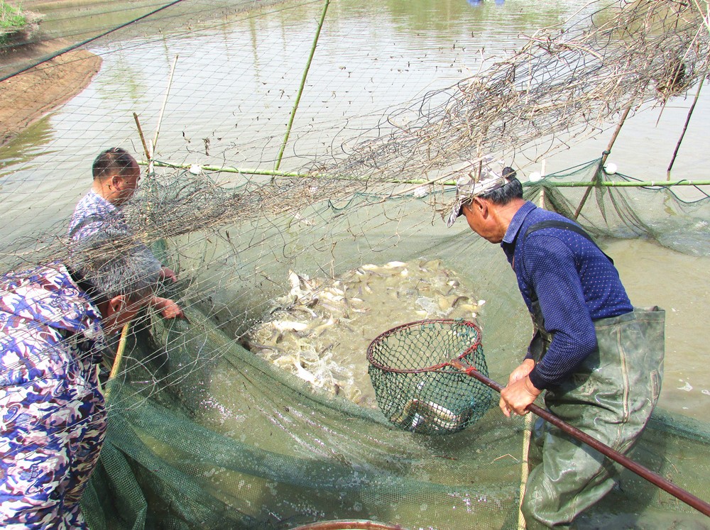 /uploads/image/2025/05/07/e786cdf028a25eae410333d3f0f51170.jpg 2.jpg