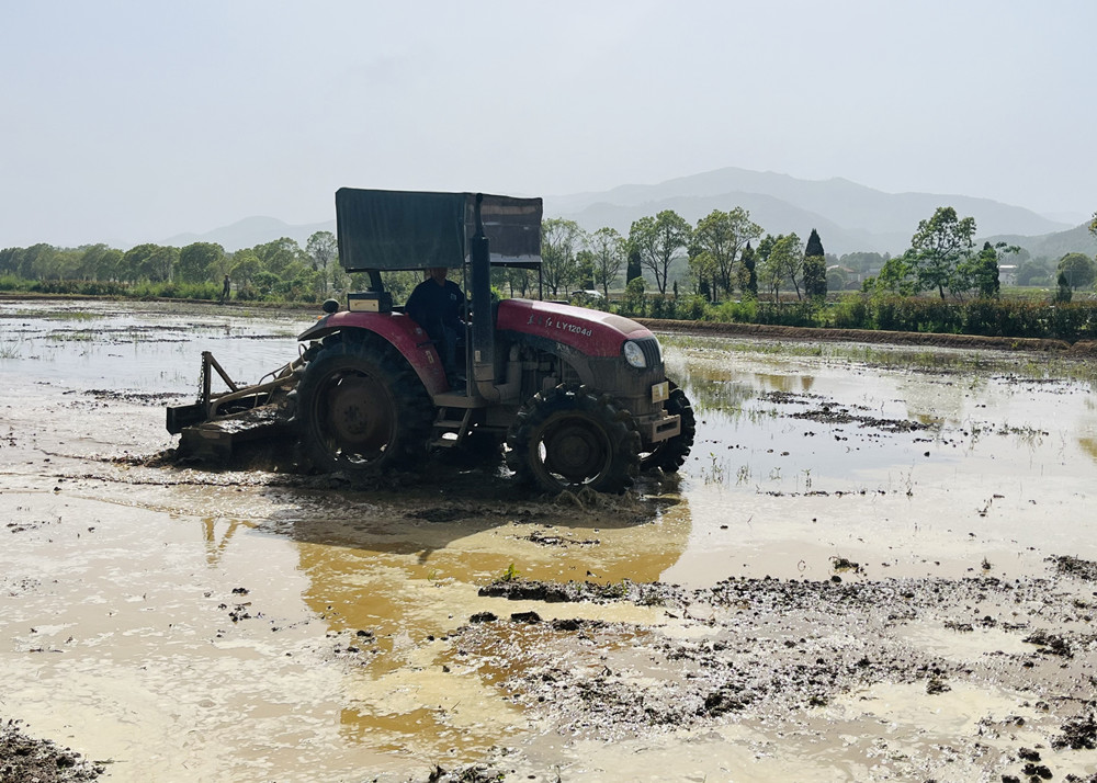 /uploads/image/2025/05/08/1923d306cde534023432afb7067a4126.jpg 5.jpg