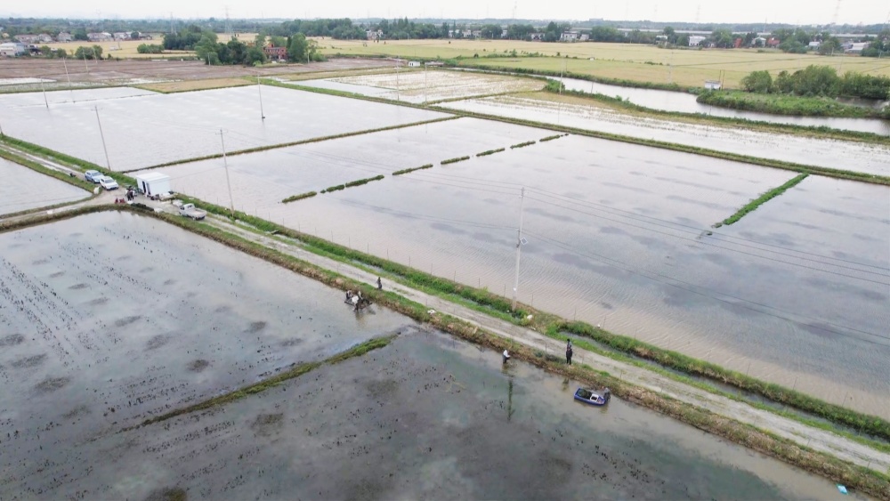 /uploads/image/2025/05/12/bf47a15a4f6adb65f17fad0a2ba66e26.jpg 龙虾(2).jpg