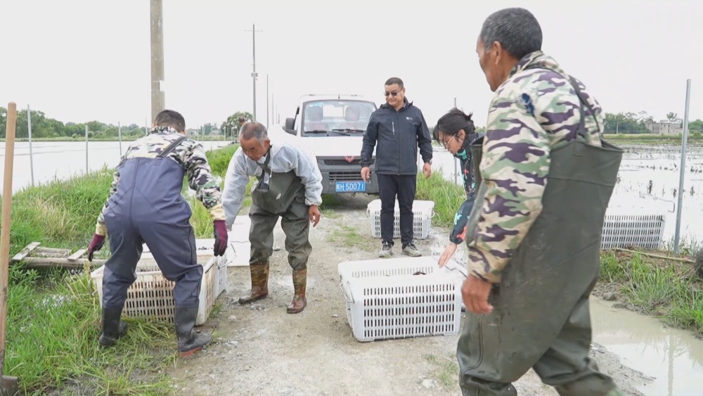 /uploads/image/2025/05/12/bd55fb79cb1f5ffedc56cc03c73aebda.jpg 龙虾(1).jpg