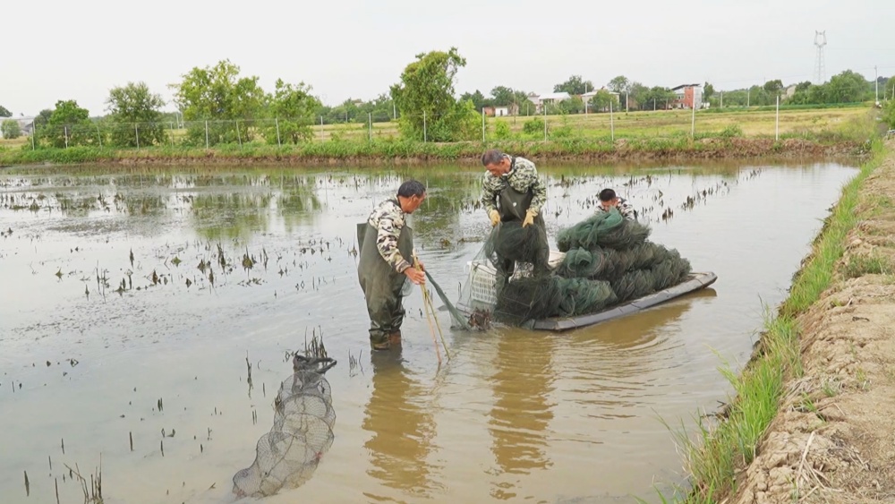 /uploads/image/2025/05/12/973d377d3f7343e19e885a543a6166bd.jpg 龙虾.jpg