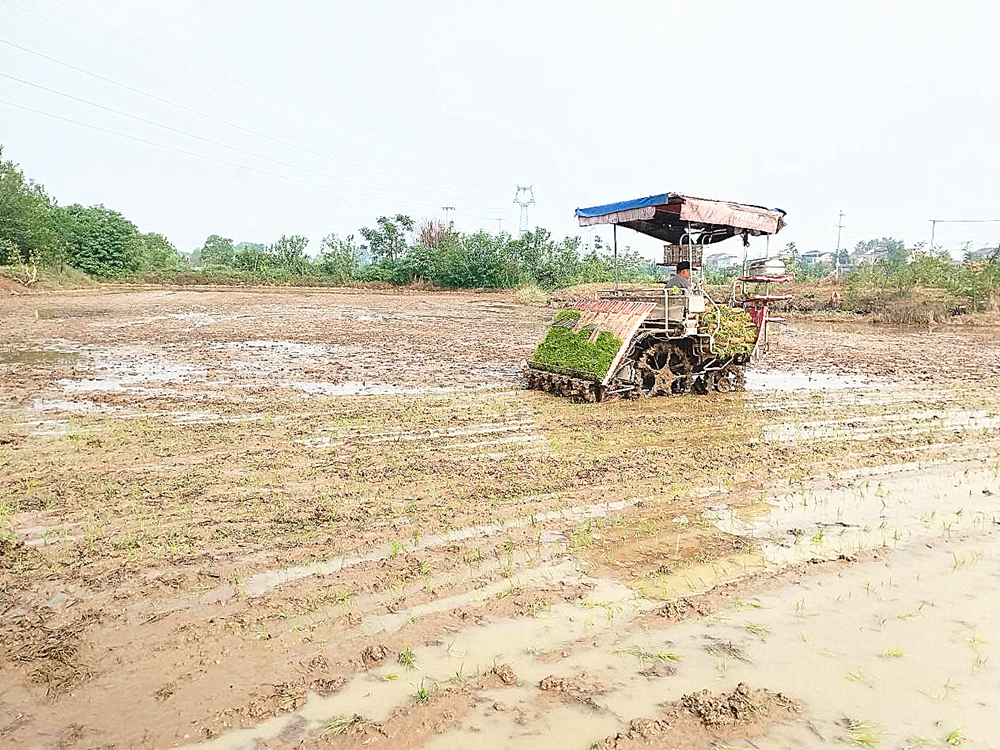 /uploads/image/2025/05/13/cae75e3a1c7560f282aad34f5090178f.png 图片3_副本.png