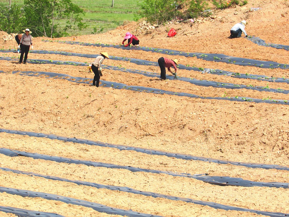 /uploads/image/2025/05/14/44c3b5668841c7f9821e06450f0211fb.jpg IMG_4652_副本.jpg