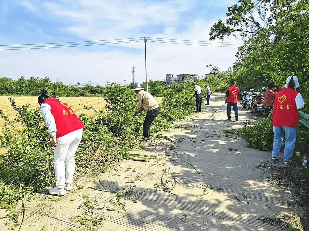 /uploads/image/2025/05/14/7e5d5d3aded903bcd23ce30f5c8ee098.png 图为活动现场_副本_new.png