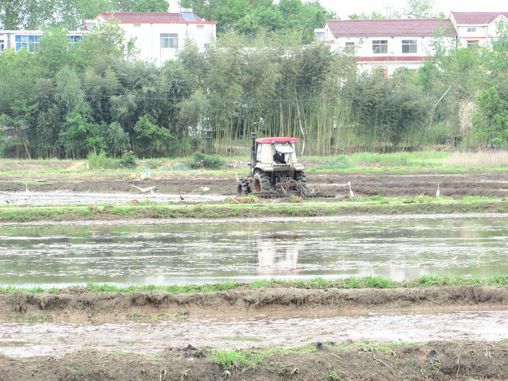 /uploads/image/2025/05/14/ffd1620fa98ae72ffd972ce0c37d28c1.jpg IMG_4560_副本.jpg