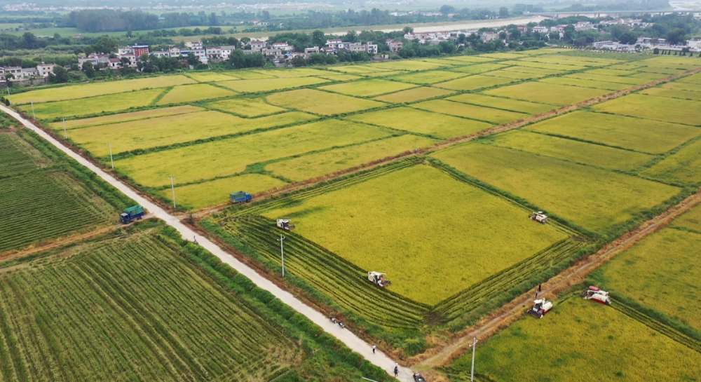 /uploads/image/2025/05/19/d5cbd8bbc465ea53fc4969471c46ebfc.png 88c471a5f6d98ea318ed2d8150c45f8(2).png