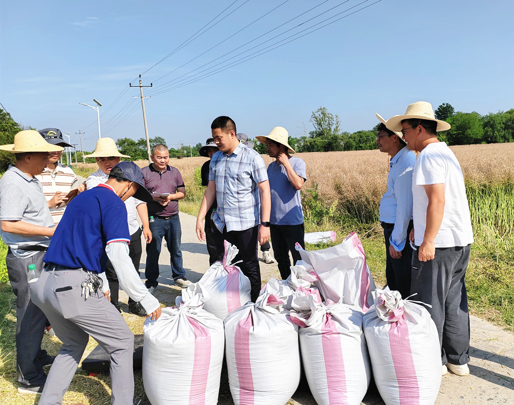 /uploads/image/2025/05/20/00fe3ab37d0ccb04d6ad50ef8cd9d8cc.jpg 2.jpg