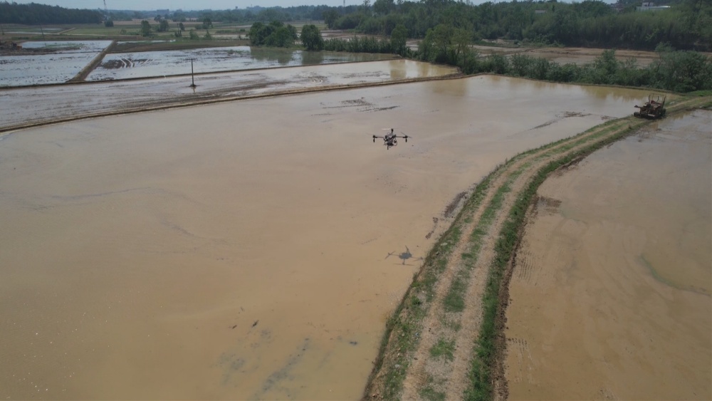 /uploads/image/2025/05/21/89b00932c20d92ff792159ec59e51031.jpg 播种(2).jpg