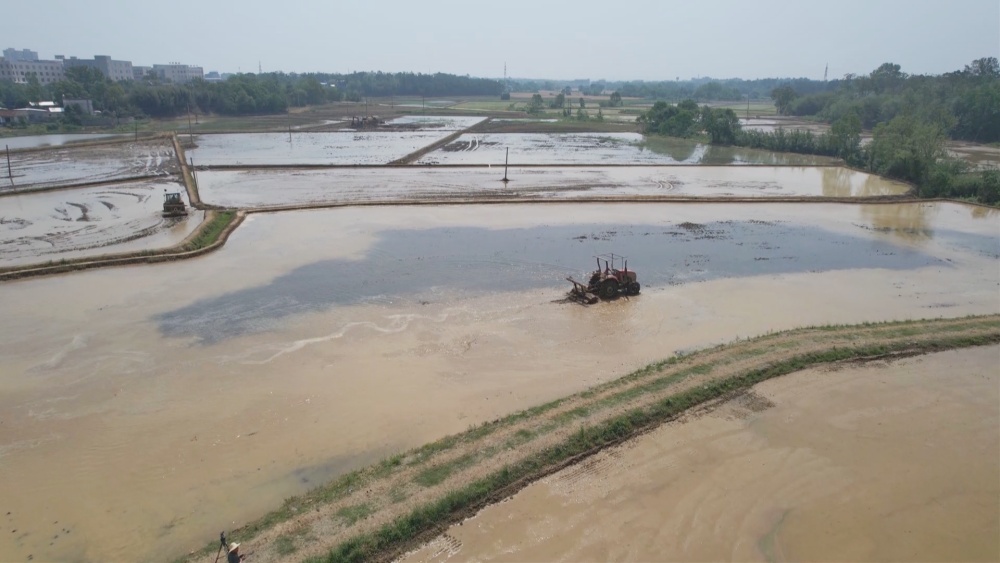 /uploads/image/2025/05/21/9cb31fc80230713512d88176f64908e9.jpg 播种.jpg