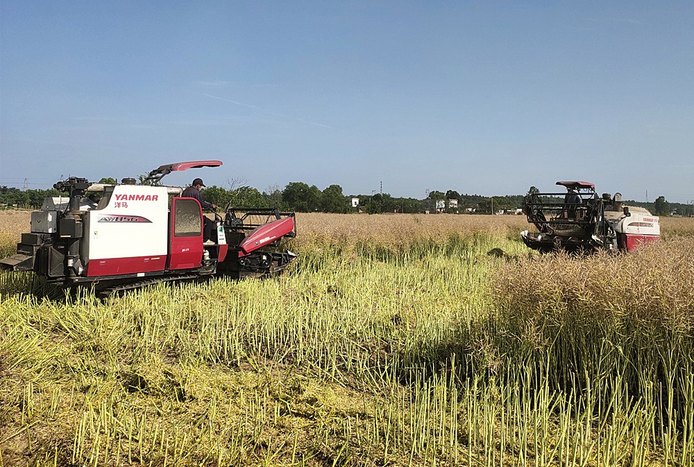 /uploads/image/2025/05/22/b9af4f0dde3ce433a3beeb948dab0099.jpg 11.jpg