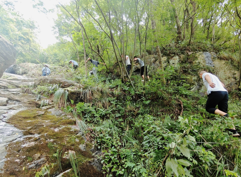 /uploads/image/2025/05/30/473d462f982f277612ad018e39f68864.jpg ͼһ_副本.jpg