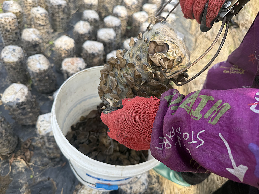 /uploads/image/2025/06/03/5c8d23bcaf99c22661cd3a4a4dfbe063.jpg 4.jpg