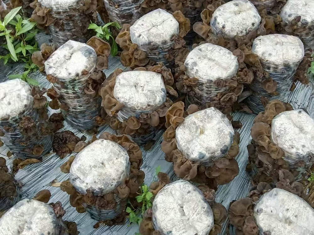 /uploads/image/2025/06/03/7d697b71a8c54941b0d808d71127d1ef.jpg 3.jpg