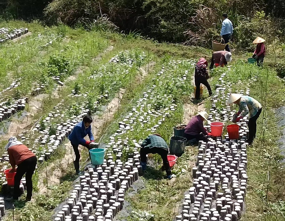 /uploads/image/2025/06/03/c6a1eb8defafe5e5b19d9edb17e4aea1.jpg 2.jpg