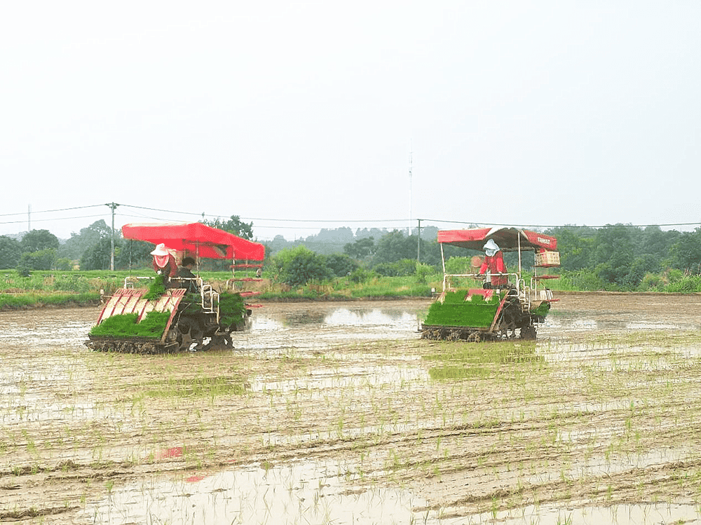 /uploads/image/2025/06/04/74ffbd0e56e10d770628d98d94313d12.png 图片1_副本_new.png